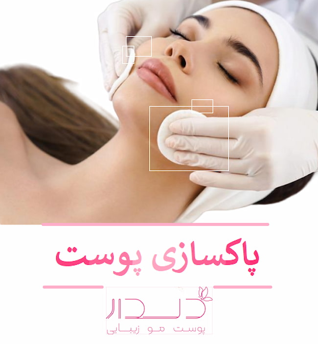 بهترین مرکز آموزش فیشیال صورت در صادقیه